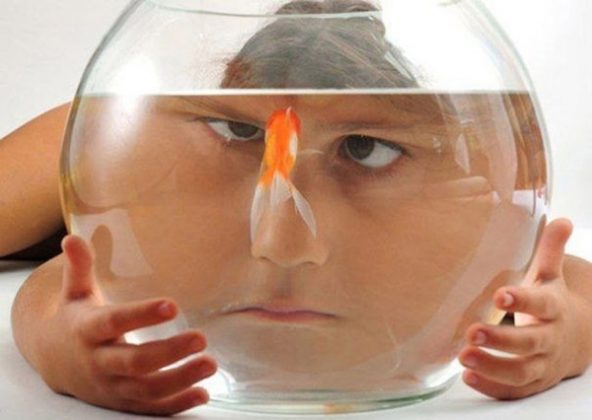 looking through a fishbowl