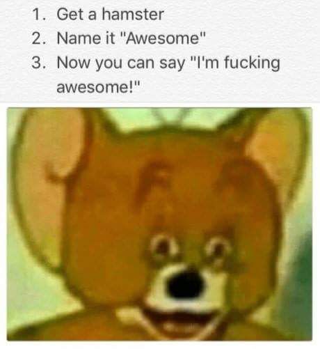 jerry edgy memes - 1. Get a hamster 2. Name it "Awesome" 3. Now you can say "I'm fucking awesome!"