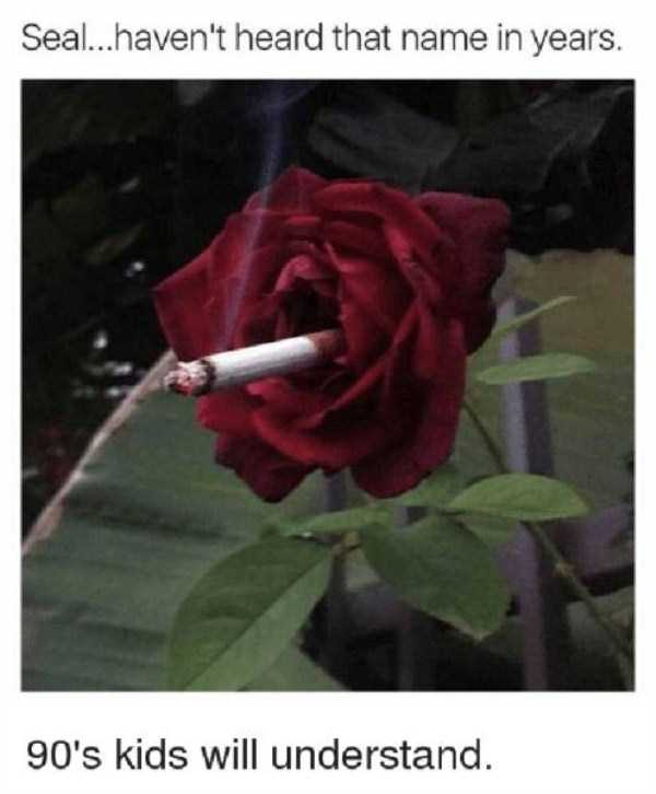 Meme of a rose smoking a cigarette making fun of Kissed By A Rose song by Seal