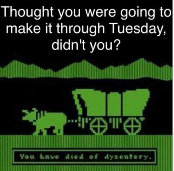 Meme about Oregon Trail video game from the 90's on a monochrome screen