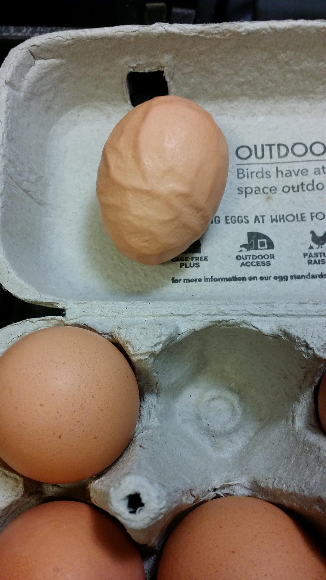 random egg - Outdoo Birds have at space outdo .B Eggs At Whole To 0 Ondon mere inforneu dd