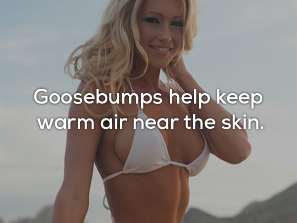 blond - Goosebumps help keep warm air near the skin.
