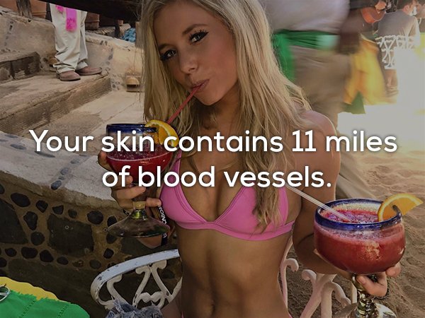 brittany gibson nude - Your skin contains 11 miles of blood vessels.