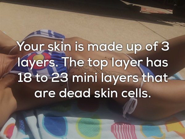 nail - Your skin is made up of 3 layers. The top layer has 18 to 23 mini layers that are dead skin cells.