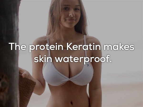 petite brunette nipple bikini - The protein Keratin makes skin waterproof.