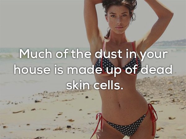 bikini - Much of the dust in your house is made up of dead skin cells.
