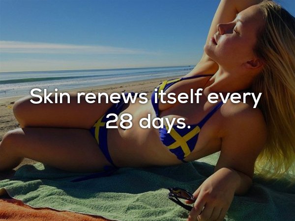 bikini - Skin renews itself every 28 days.
