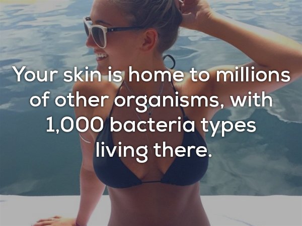 shoulder - Your skin is home to millions of other organisms, with 1,000 bacteria types living there.