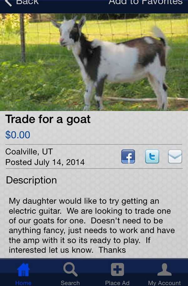 goat - back AuU 10 Favorites Trade for a goat $0.00 Coalville, Ut Posted Description My daughter would to try getting an electric guitar. We are looking to trade one of our goats for one. Doesn't need to be anything fancy, just needs to work and have the 