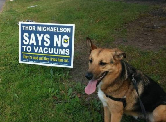 say no to vacuums - Thor Michaelson Says No To Vacuums They're loud and they freak him out.