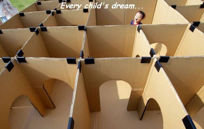cardboard maze - Every child's dream...