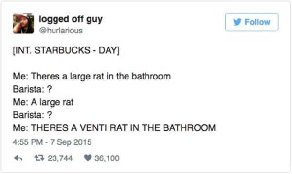 funny tweets - logged off guy Int. Starbucks Day Me Theres a large rat in the bathroom Barista ? Me A large rat Barista ? Me Theres A Venti Rat In The Bathroom 7 23,744 36,100