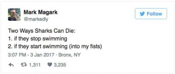 beautiful text - Mark Magark Two Ways Sharks Can Die 1. if they stop swimming 2. if they start swimming into my fists Bronx, Ny 43 1,311 3,235