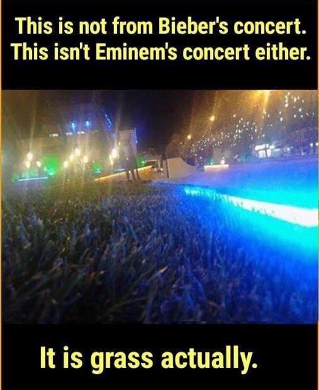 grass concert meme - This is not from Bieber's concert. This isn't Eminem's concert either. It is grass actually.