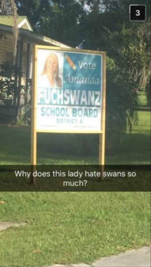 grass - Vote Amanda Euchswanz School Board Why does this lady hate swans so much?