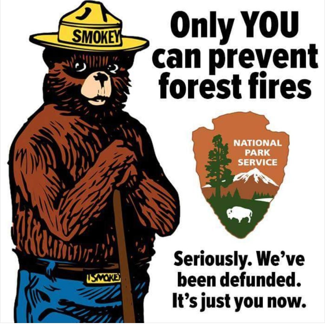 smokey the bear - Smokey Smokey Only You W.can prevent forest fires National Park Service Smoke Seriously. We've been defunded. It's just you now.
