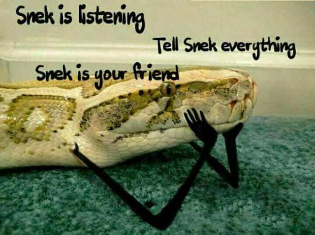 snakes with hands - Snek is listening Tell Snek everything Snek is your friend