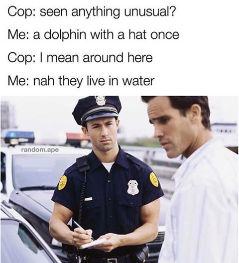 seen anything unusual meme - Cop seen anything unusual? Me a dolphin with a hat once Cop I mean around here Me nah they live in water random.ape