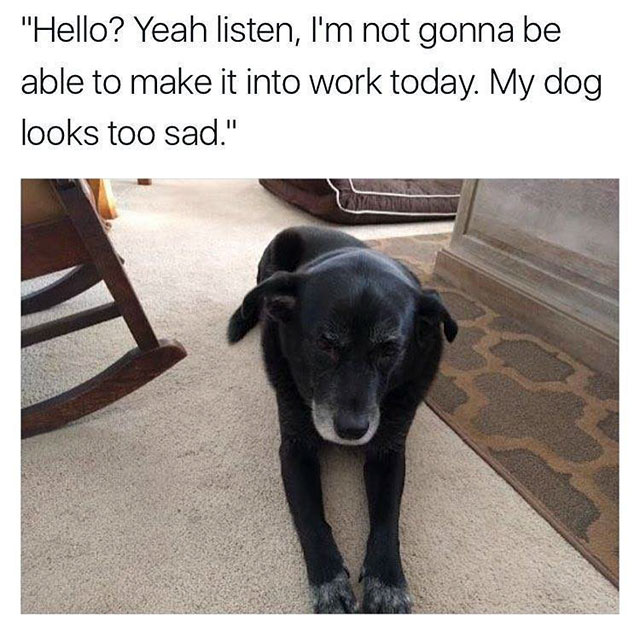 my dog looks too sad - "Hello? Yeah listen, I'm not gonna be able to make it into work today. My dog looks too sad."