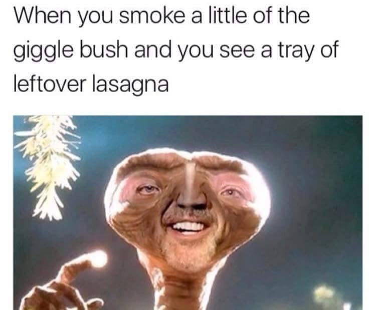 giggle bush meme - When you smoke a little of the giggle bush and you see a tray of leftover lasagna