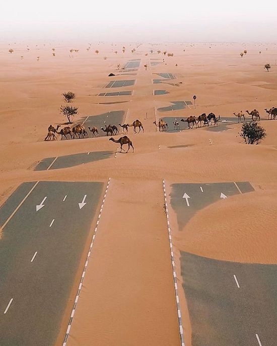 dubai desert road