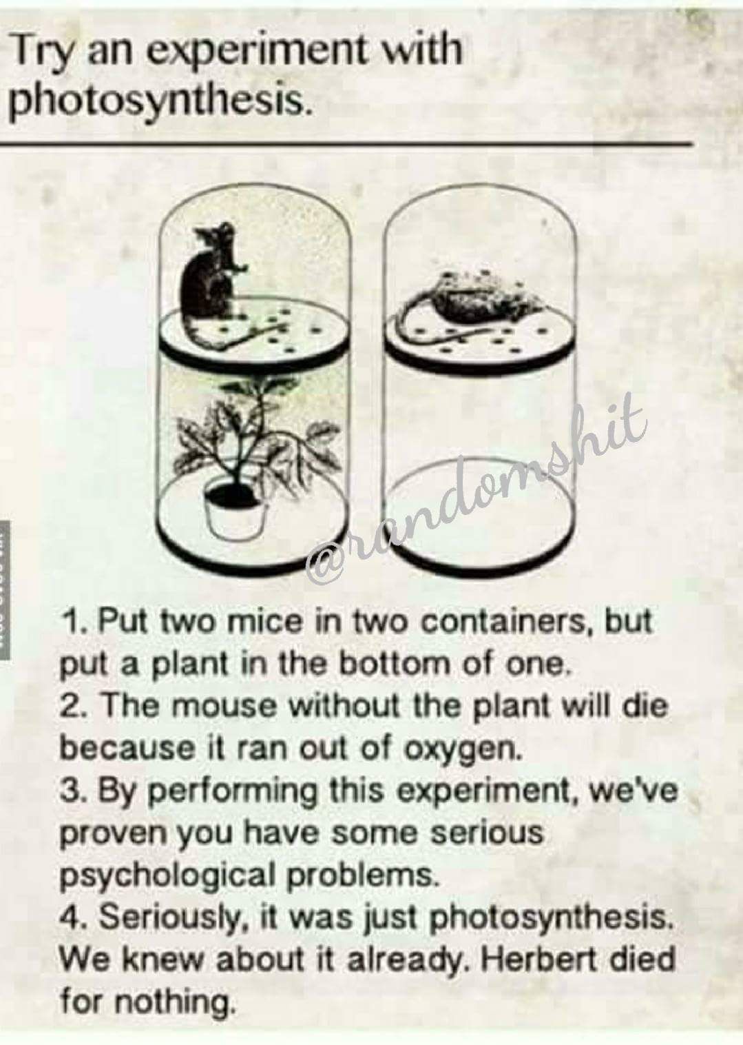 amazing picture of photosynthesis experiment meme - Try an experiment with photosynthesis. 1. Put two mice in two containers, but put a plant in the bottom of one. 2. The mouse without the plant will die because it ran out of oxygen. 3. By performing this