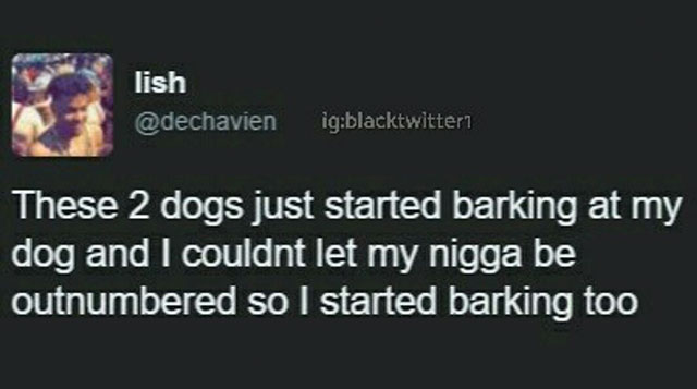 screenshot - lish igblacktwitter These 2 dogs just started barking at my dog and I couldnt let my nigga be outnumbered so I started barking too