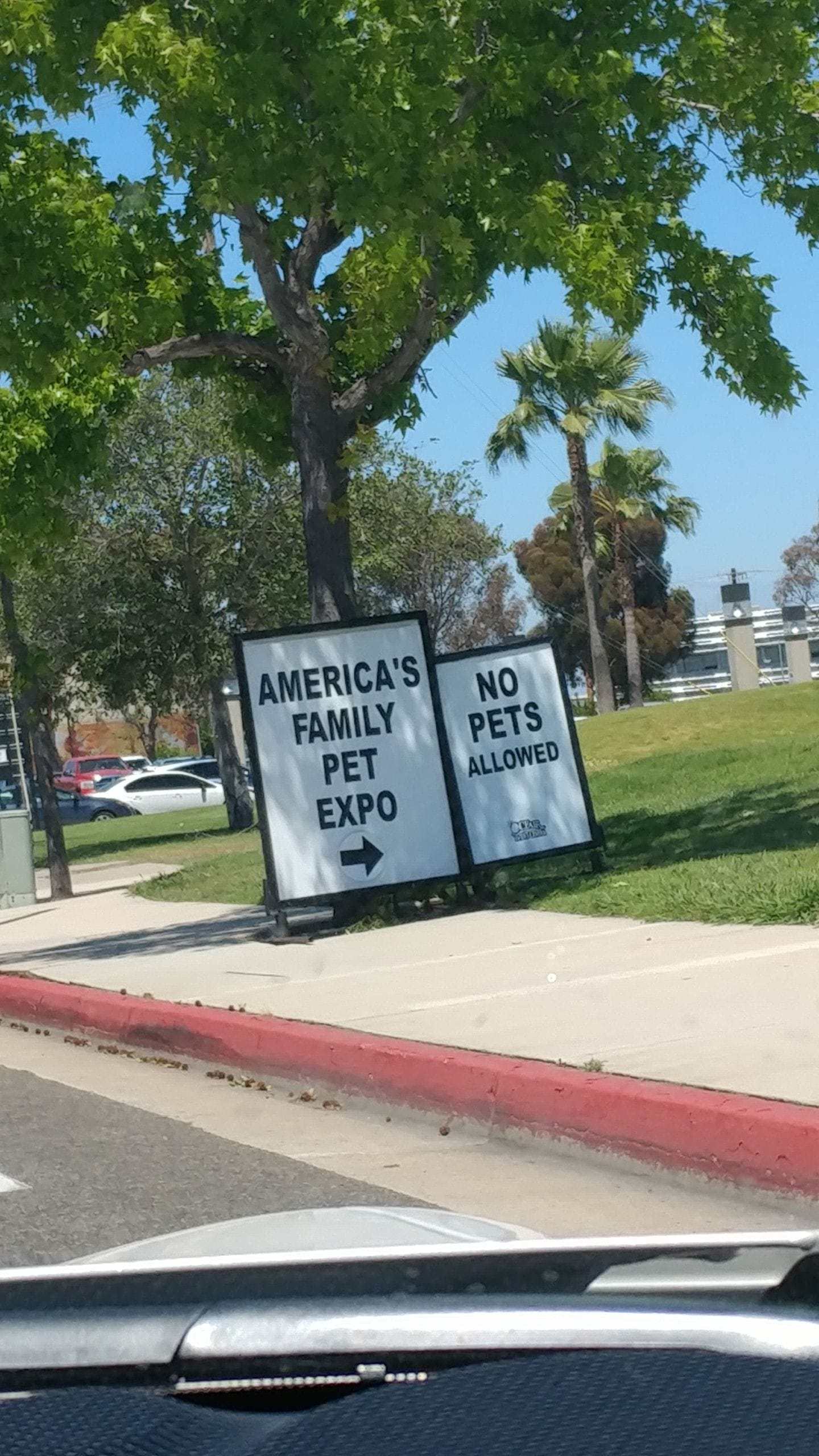 random tree - America'S Family No Pets Pet Allowed Expo Cover