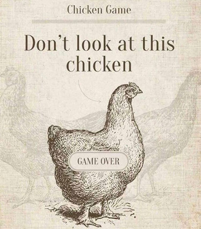 don t look at this chicken - Chicken Game Don't look at this chicken Game Over