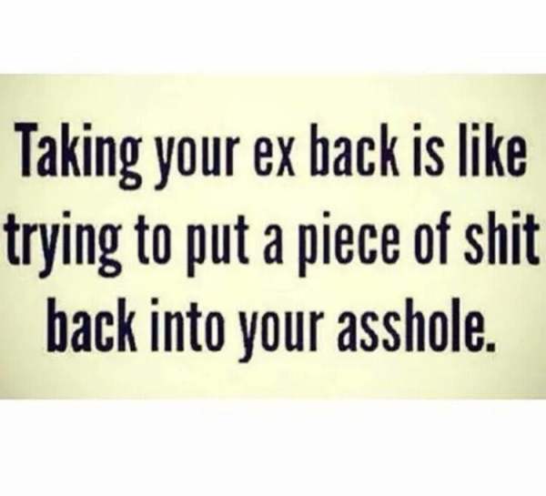 taking your ex back quotes - Taking your ex back is trying to put a piece of shit back into your asshole.