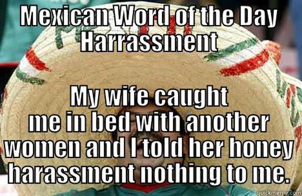 photo caption - Mexican Word of the Day Harrassment My wife caught me in bed with another women and I told her honey harassment nothing to me. Quickmeme.com