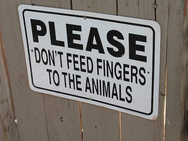 Hilarious Examples Of Warning Signs In Zoos