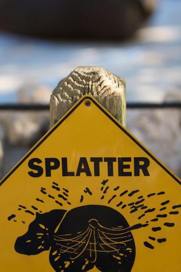 Hilarious Examples Of Warning Signs In Zoos