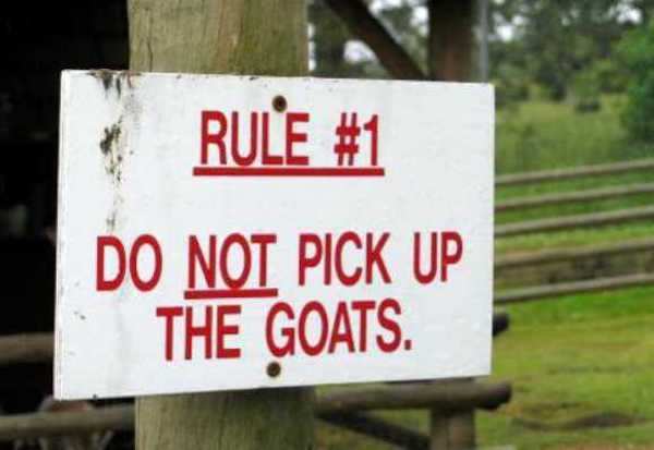 Hilarious Examples Of Warning Signs In Zoos