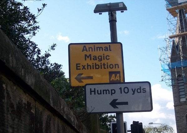 Hilarious Examples Of Warning Signs In Zoos