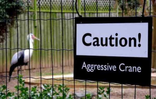 Hilarious Examples Of Warning Signs In Zoos