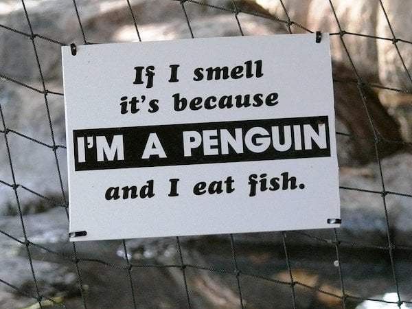 Hilarious Examples Of Warning Signs In Zoos