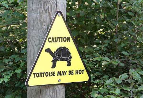 Hilarious Examples Of Warning Signs In Zoos