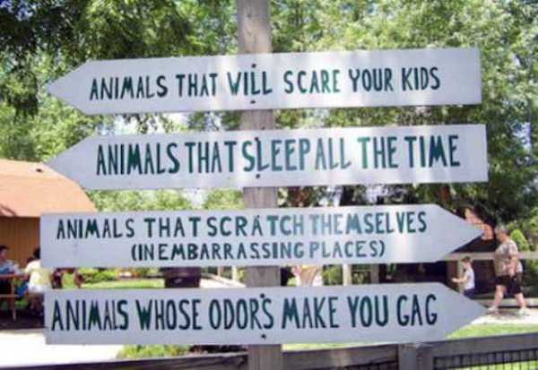 Hilarious Examples Of Warning Signs In Zoos