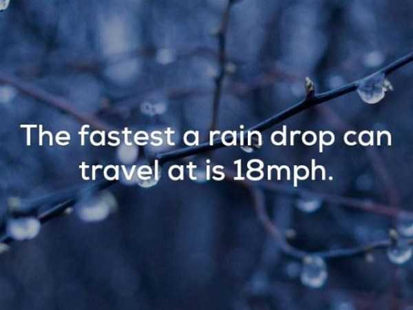 25 Mind Blowing Weather Facts