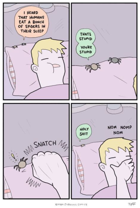 eating spiders in sleep - I Heard That Humans Eat A Bunch Of Spiders In Their Sleep That'S Stupid Youre Stupid Holy Nom Nomp Nom Shit Snatch Mit Mm Snatch Wn Extra Tabulous Com Zas