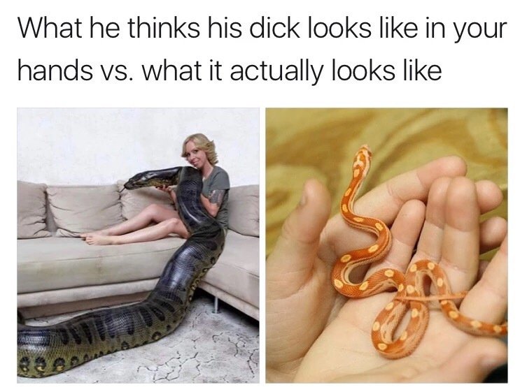 baby corn snake - What he thinks his dick looks in your hands vs. what it actually looks
