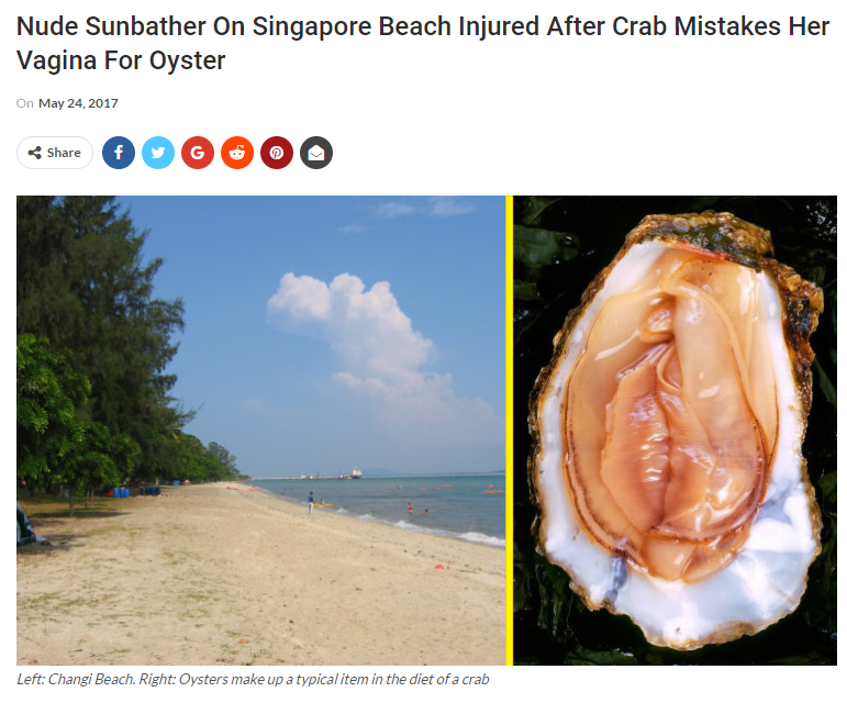vagina sunbathing - Nude Sunbather On Singapore Beach Injured After Crab Mistakes Her Vagina For Oyster On O Ooo Left Chang Beach Right Oysters make up a typical item in the diet of a crab