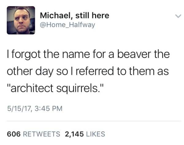 am not in a relationship with anyone - Michael, still here I forgot the name for a beaver the other day so I referred to them as "architect squirrels." 51517, 606 2,145