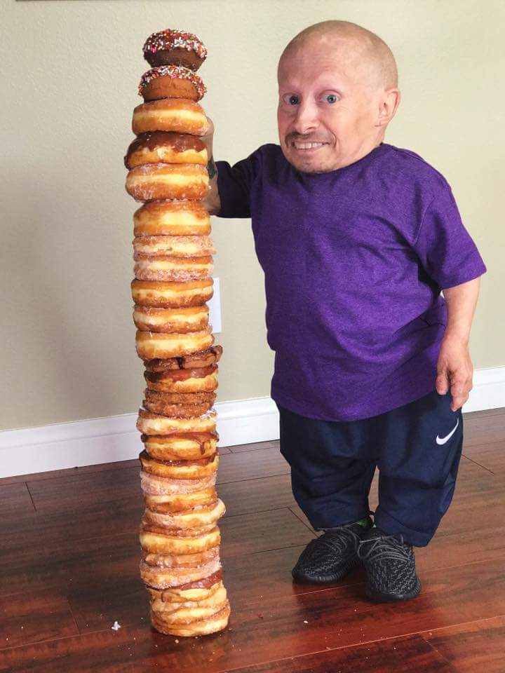 verne troyer