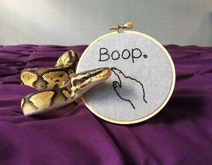 cute snake boop - Boop.