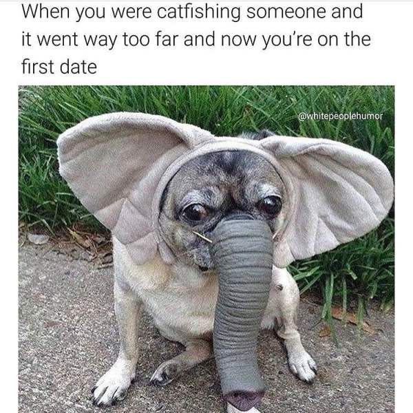 pug in elephant costume - When you were catfishing someone and it went way too far and now you're on the first date