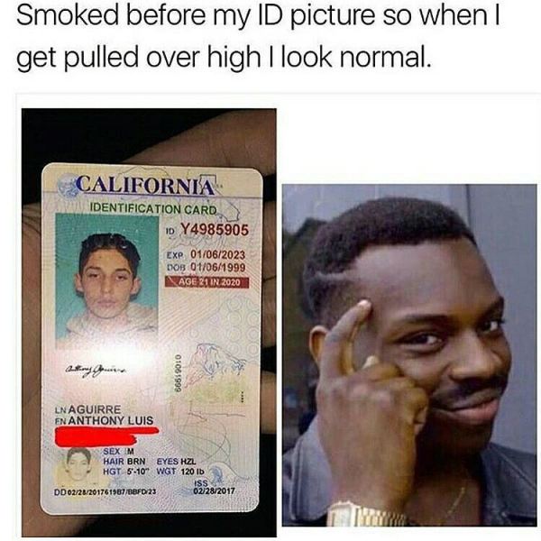 id memes - Smoked before my Id picture so when | get pulled over high I look normal. California Identification Card 10 Y4985905 Exp. 01062023 Dob 01061999 Image 3 In 2020 66619010 Ln Aguirre En Anthony Luis Sex M Hair Brn Eyes Hzl Hgt 510% Wgt 120 lb Dd…