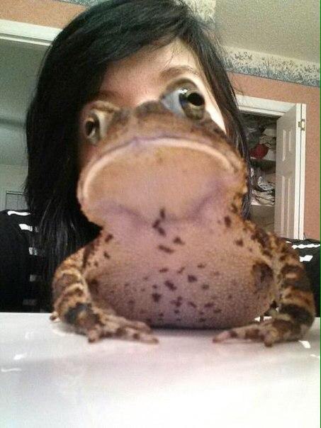 funny picture of a frog just right in front of a girl.