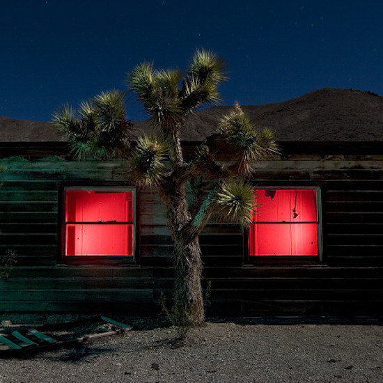 Cool night picture of a desert tree with pink windows inside